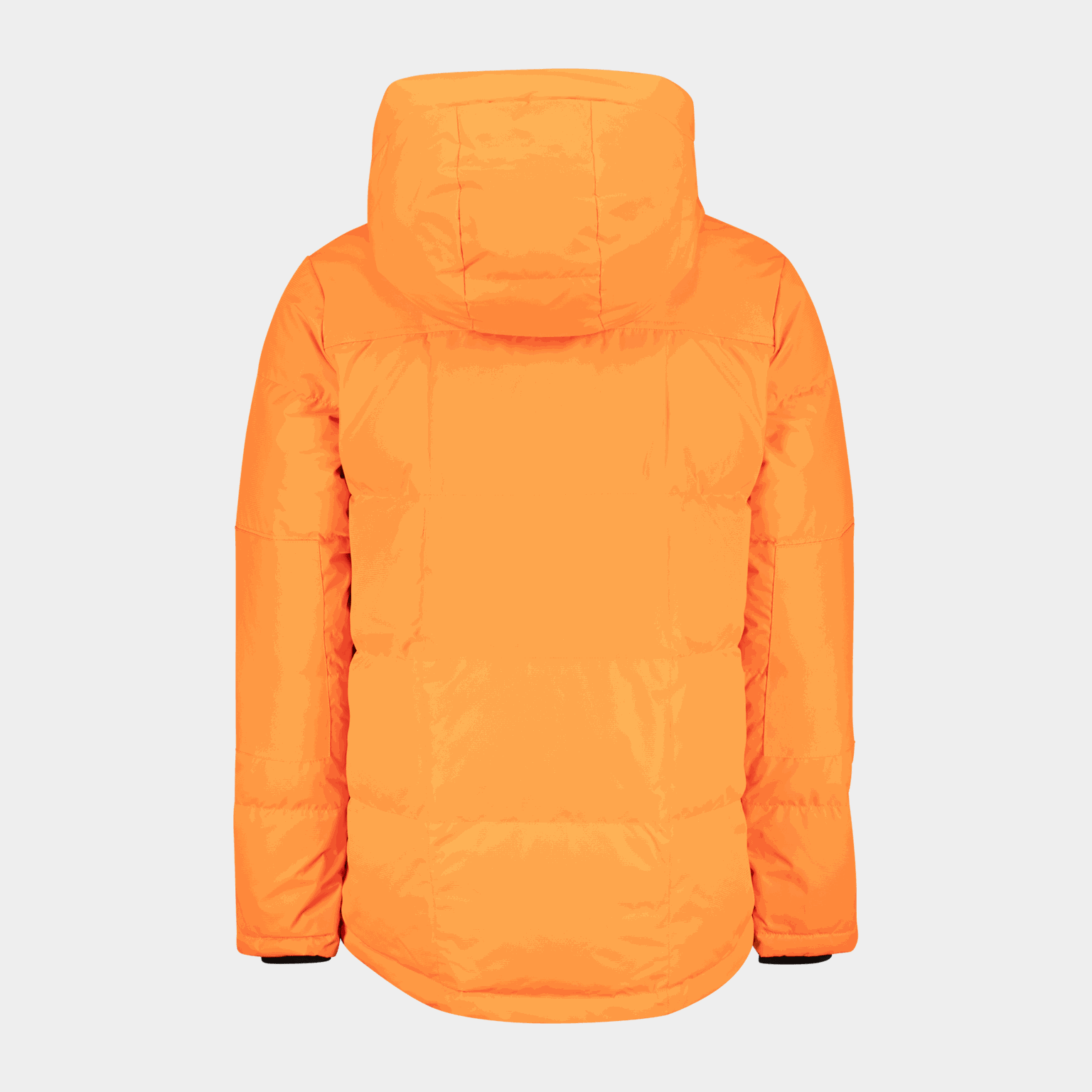 Arctic Down Jacket - full image 3