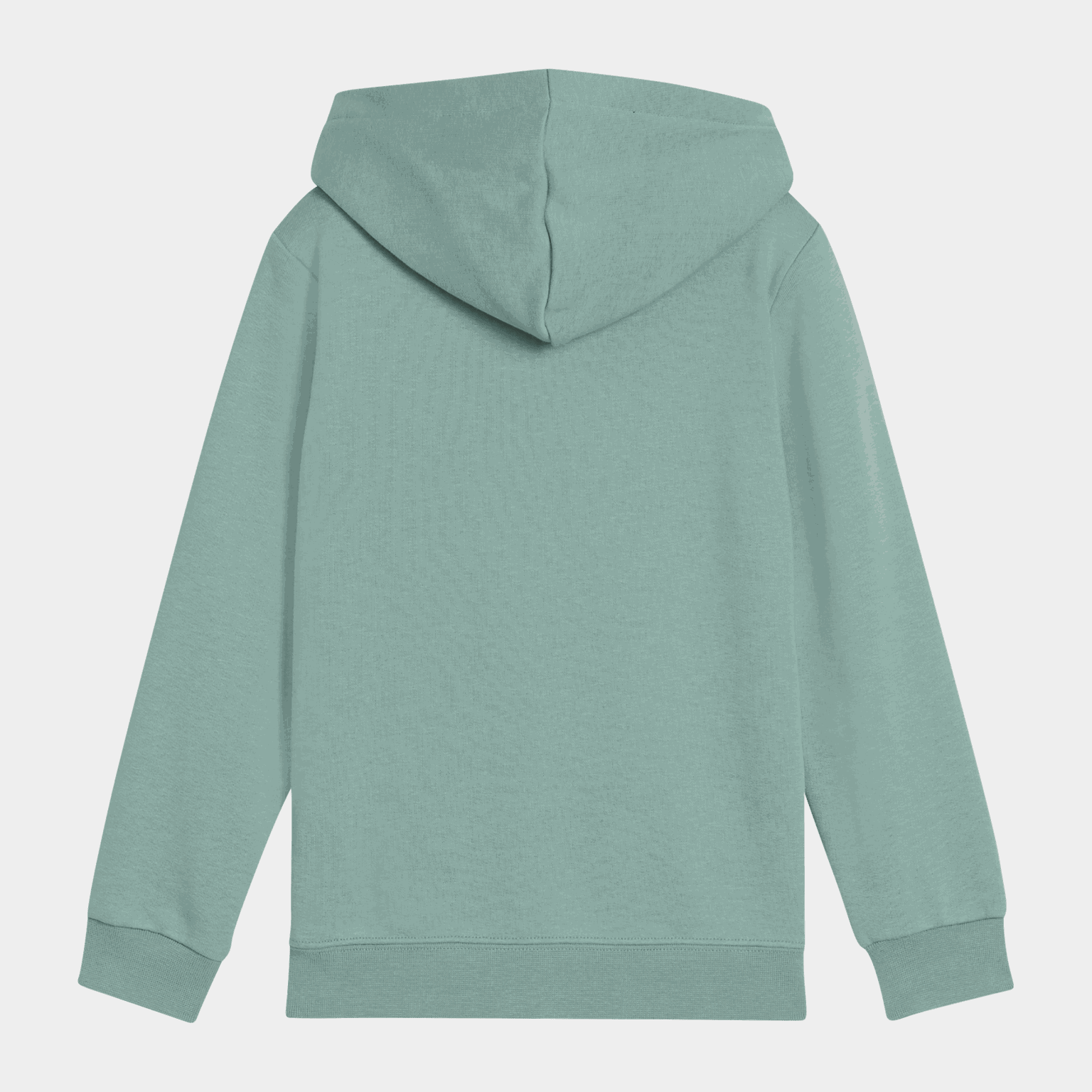 Essential No. 1 Logo Hoodie TR PS, huvtröja, barn - full image 2