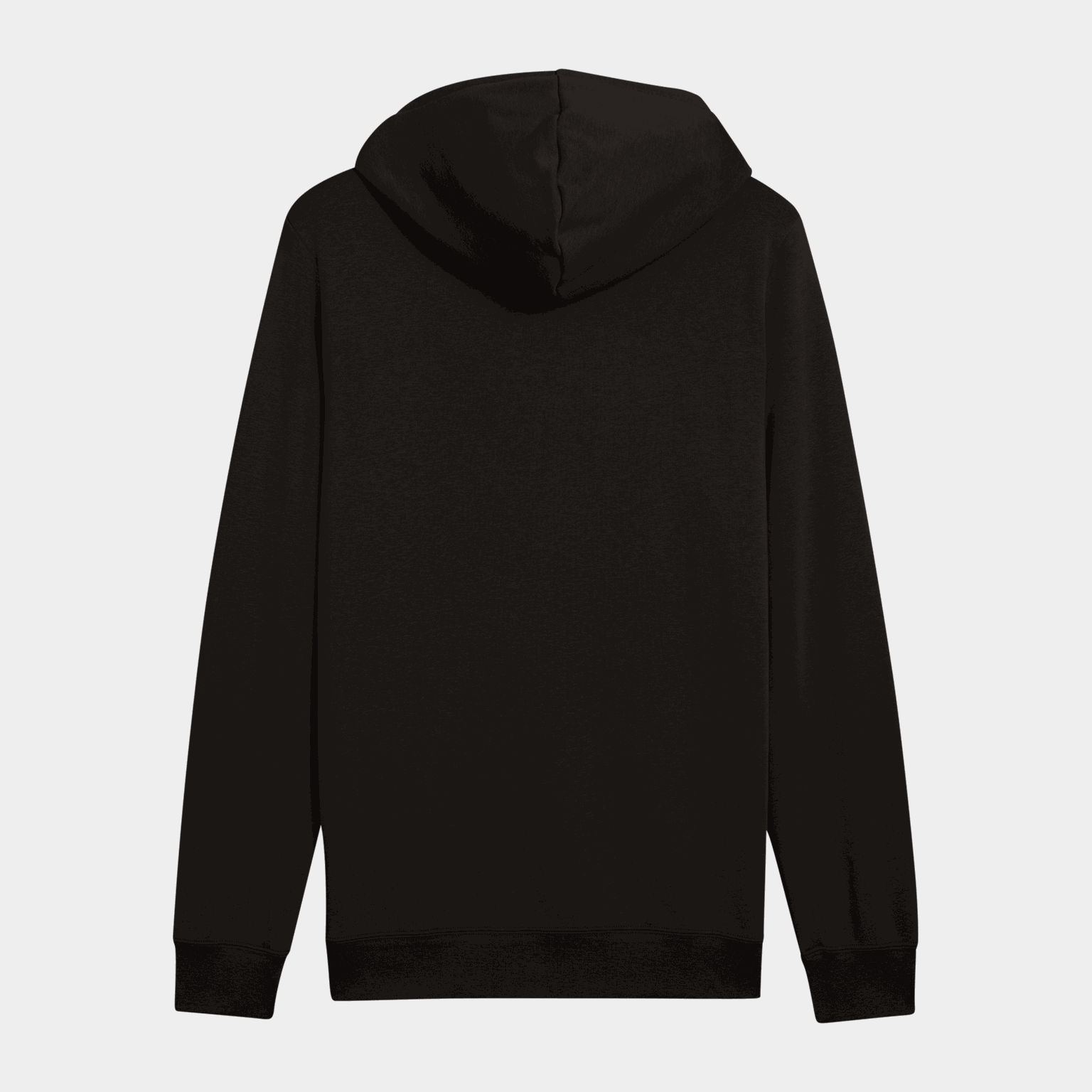 ESS 2 Color No. 1 Logo Hoodie, huvtröja, herr - full image 2
