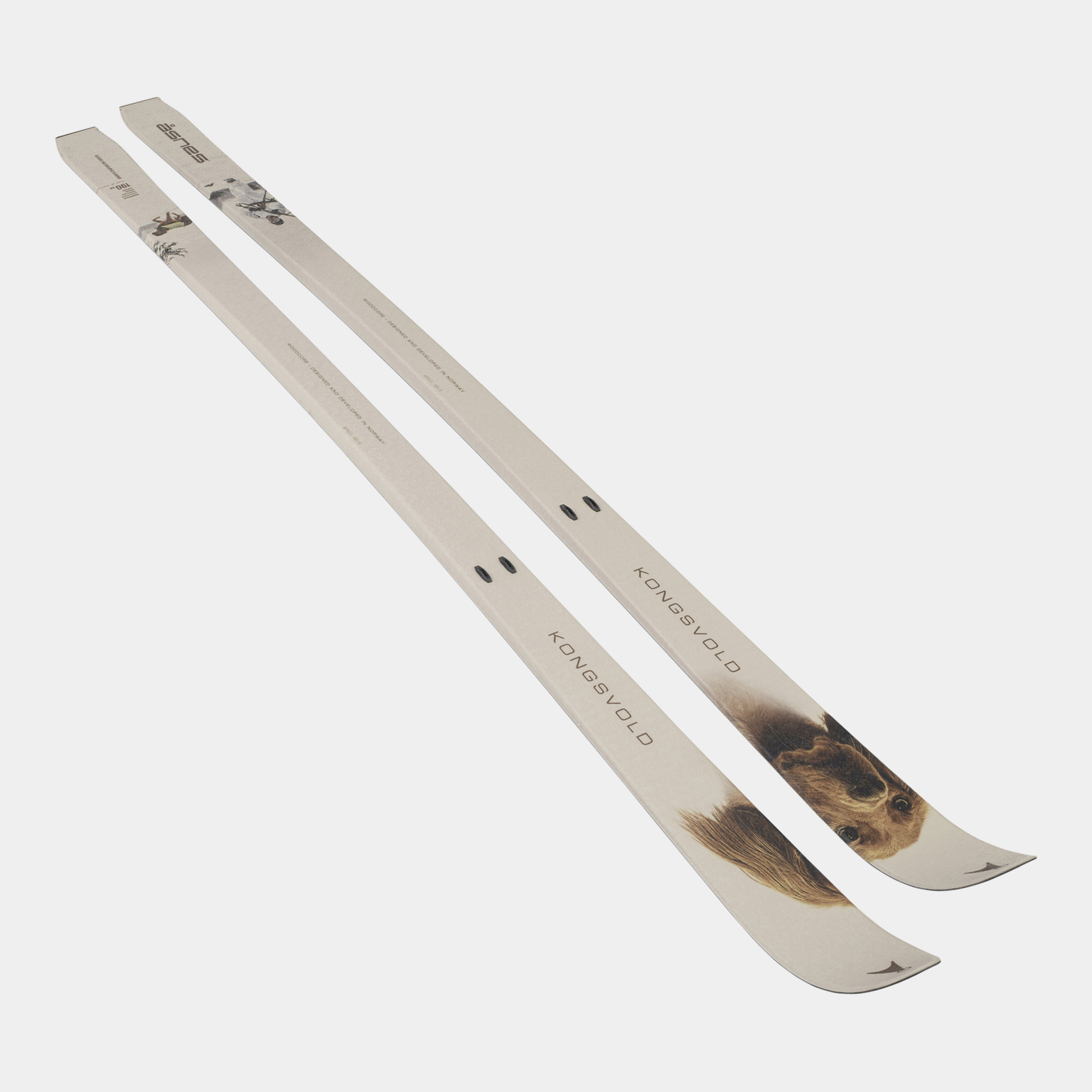 BC Skis Kongsvold Hunter 25/26, jaktskida - full image 2