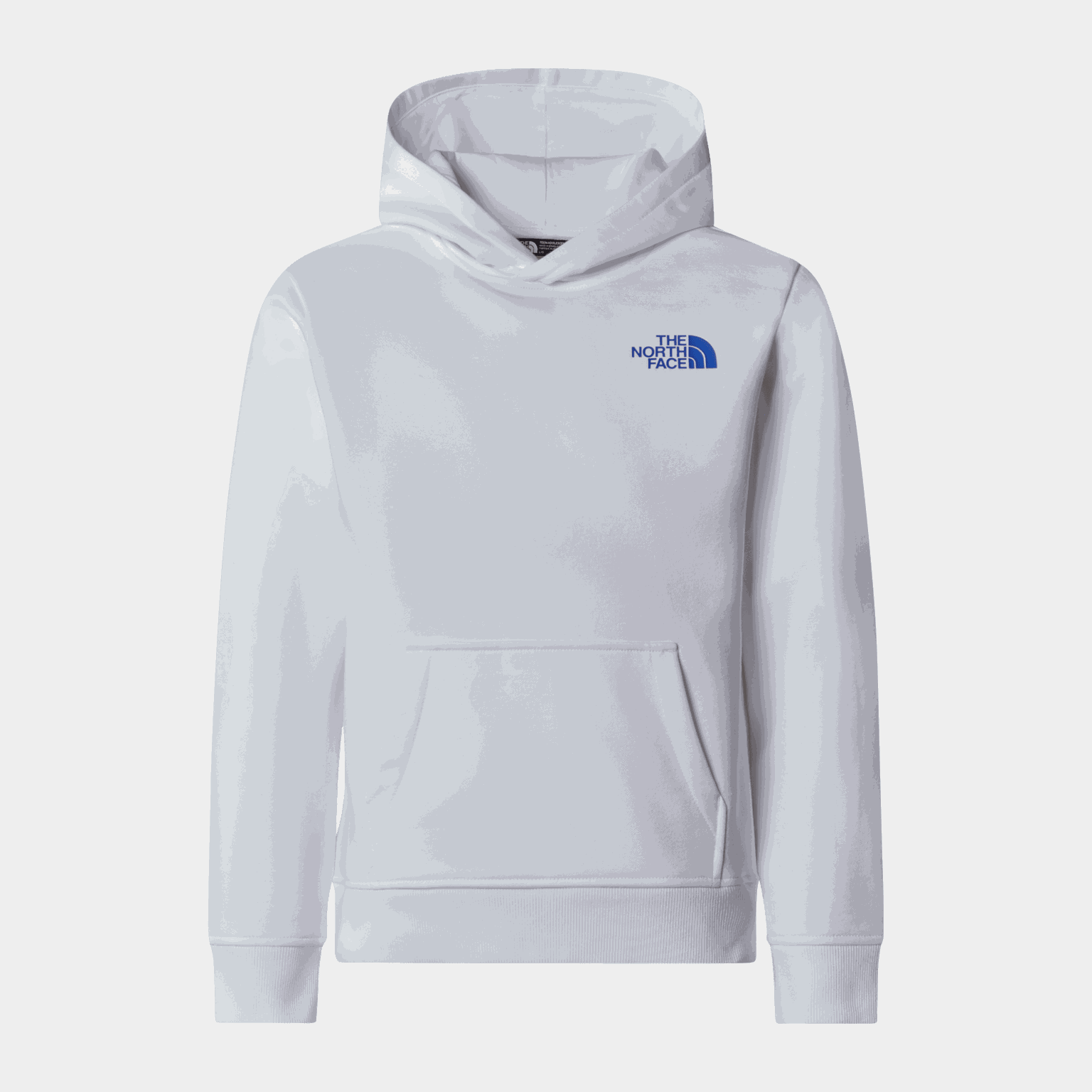 Teen Box Nse Regular Hoodie - full image 1