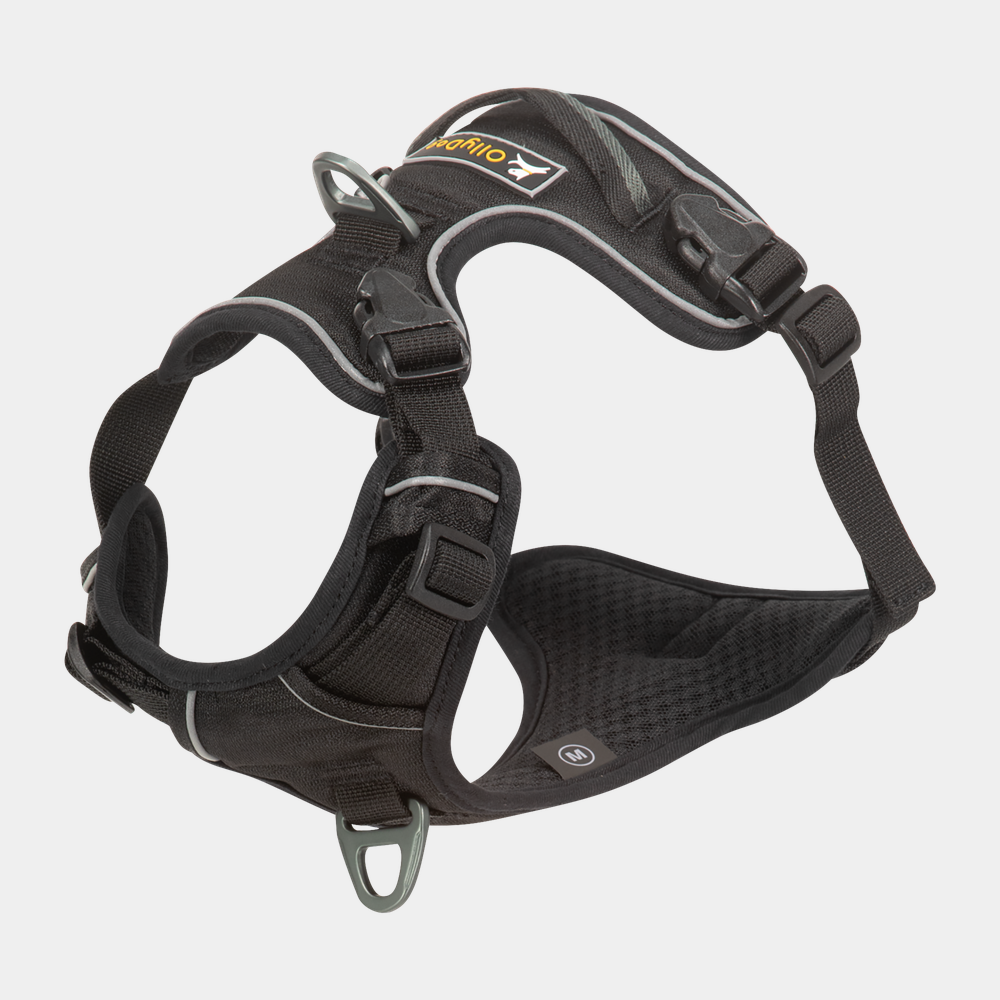 Alpine Reflective Harness Raven, hundsele - full image 1