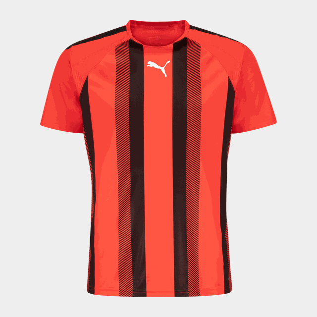teamLIGA Striped Jersey, träningströja herr - T-Shirts