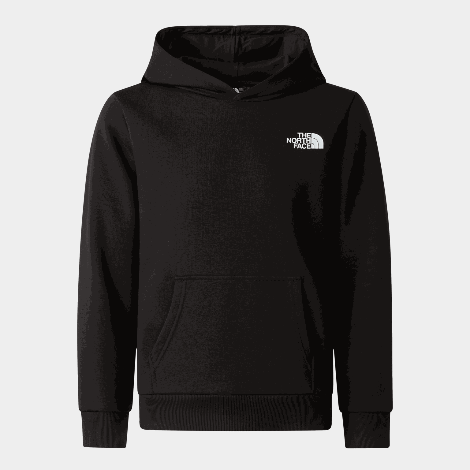 TNF Simple Dome OTH - full image 1