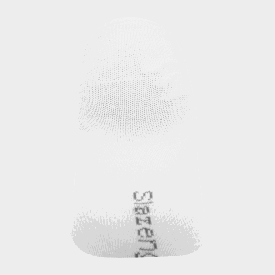 Slaz Invis 5pk Sck Lds00, strumpor, dam - full image 4