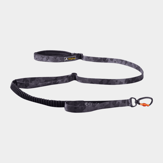 Flagstaff Adjustable Spring Leash - Koppel & Sele