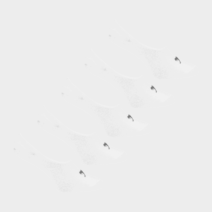 Slaz Invis 5pk Sck, strumpor - full image 1