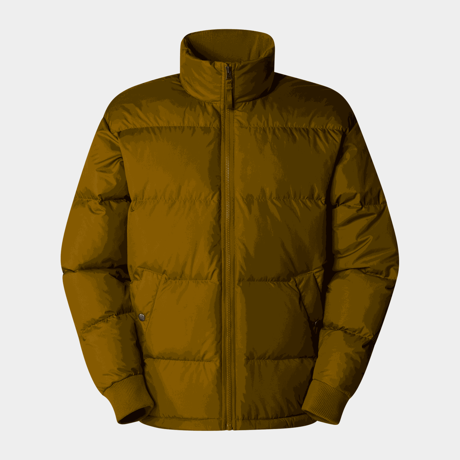 Down Paralta Puffer - full image 1