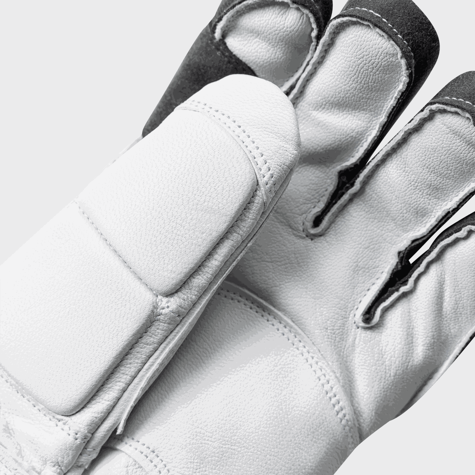 Alpine Gloves GSL Race Trigger - 5 finger 25/26, alpina handskar, racinghandskar, unisex - full image 4