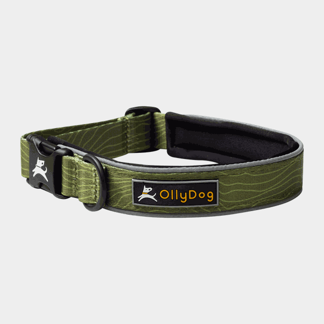 Flagstaff Reflective Comfort Collar, hundhalsband - Koppel & Sele