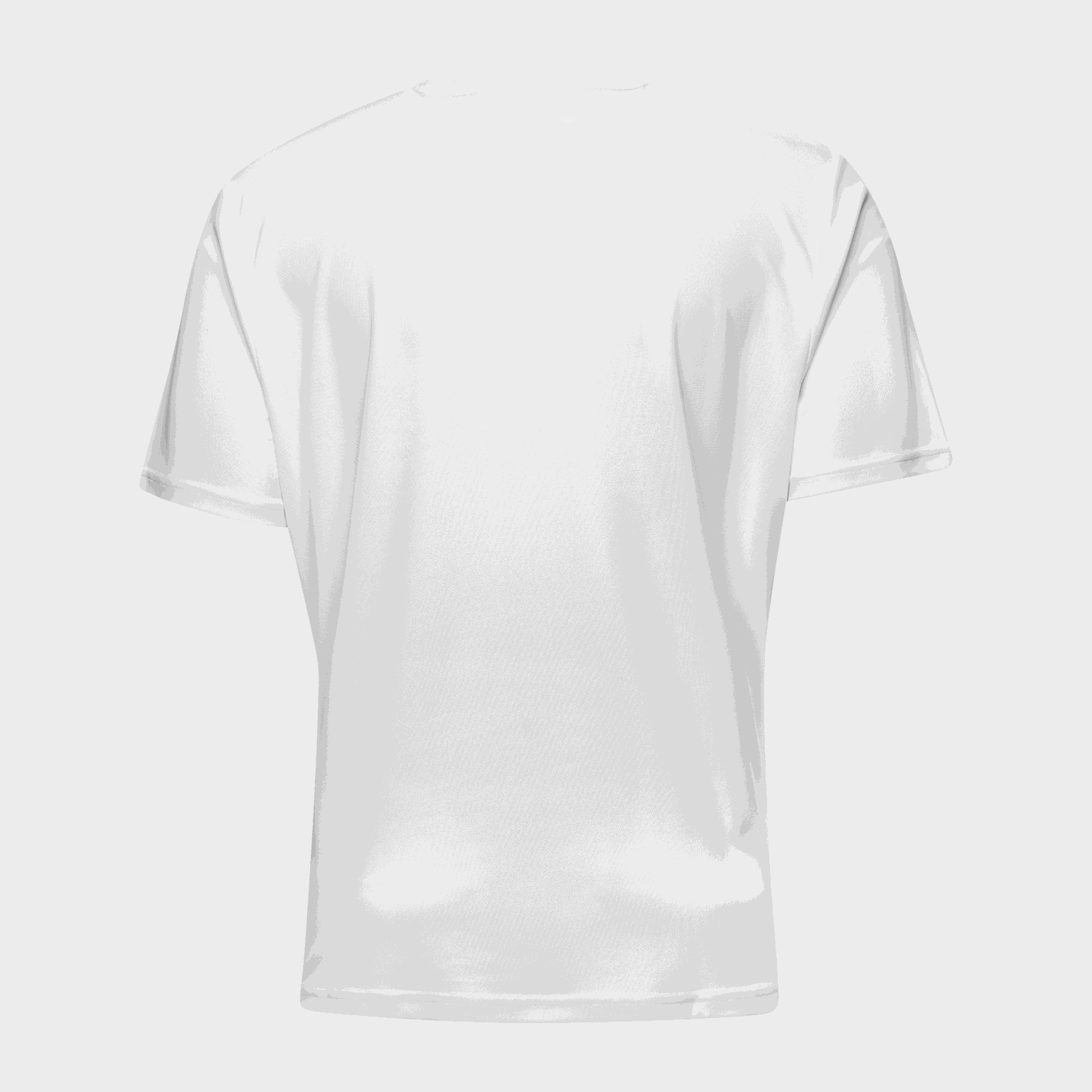 Tee-shirt Mens, t-shirt, herr - full image 2