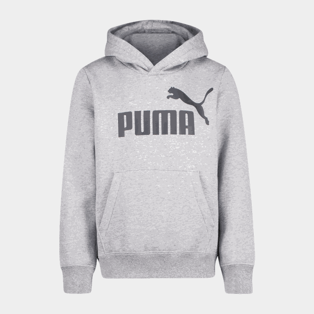 ESS Big Logo Hoodie FL B, huvtröja - Fritidströjor