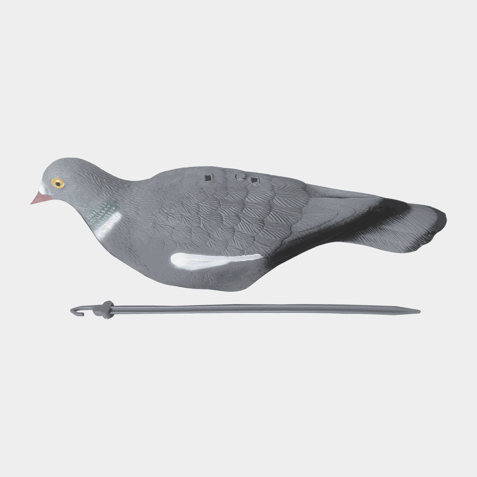 Pidgeon Shell 10pk - full image 4