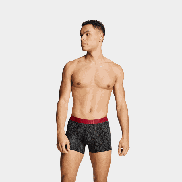 TERRACE PRINT BOXER 2P, Herr - Kalsonger