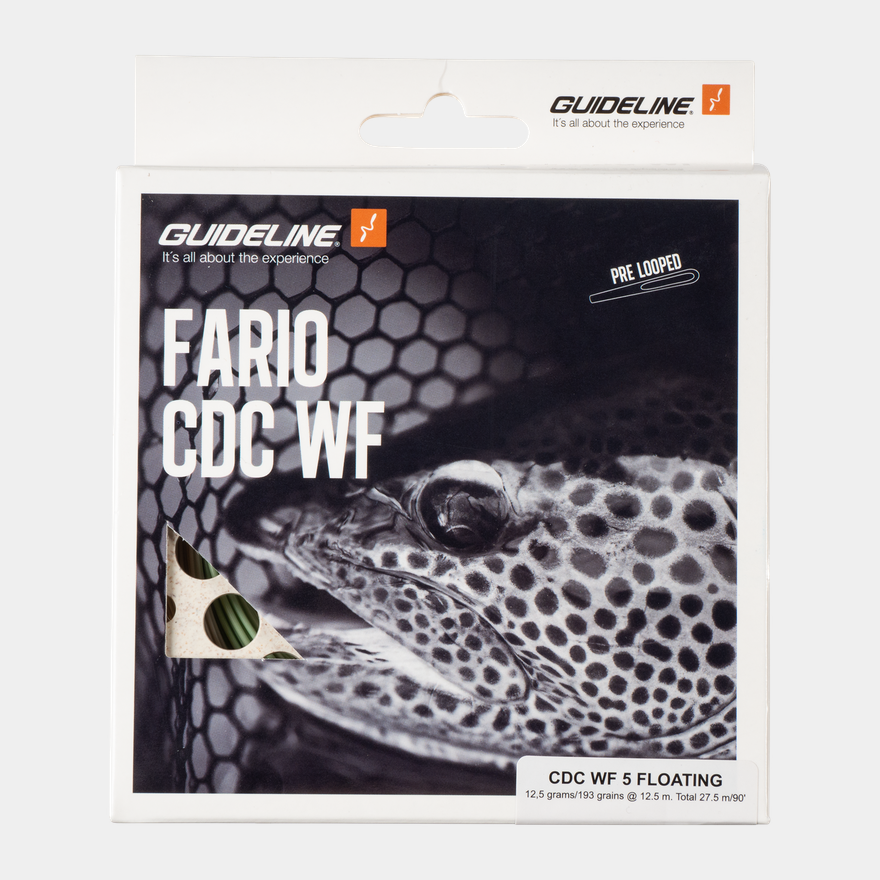 Fario Cdc Wf #5 - full image 2