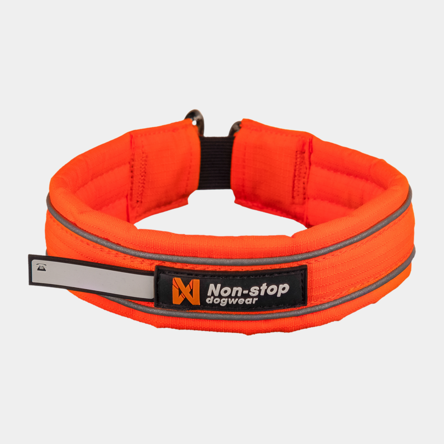 Safe, hundhalsband - full image 2