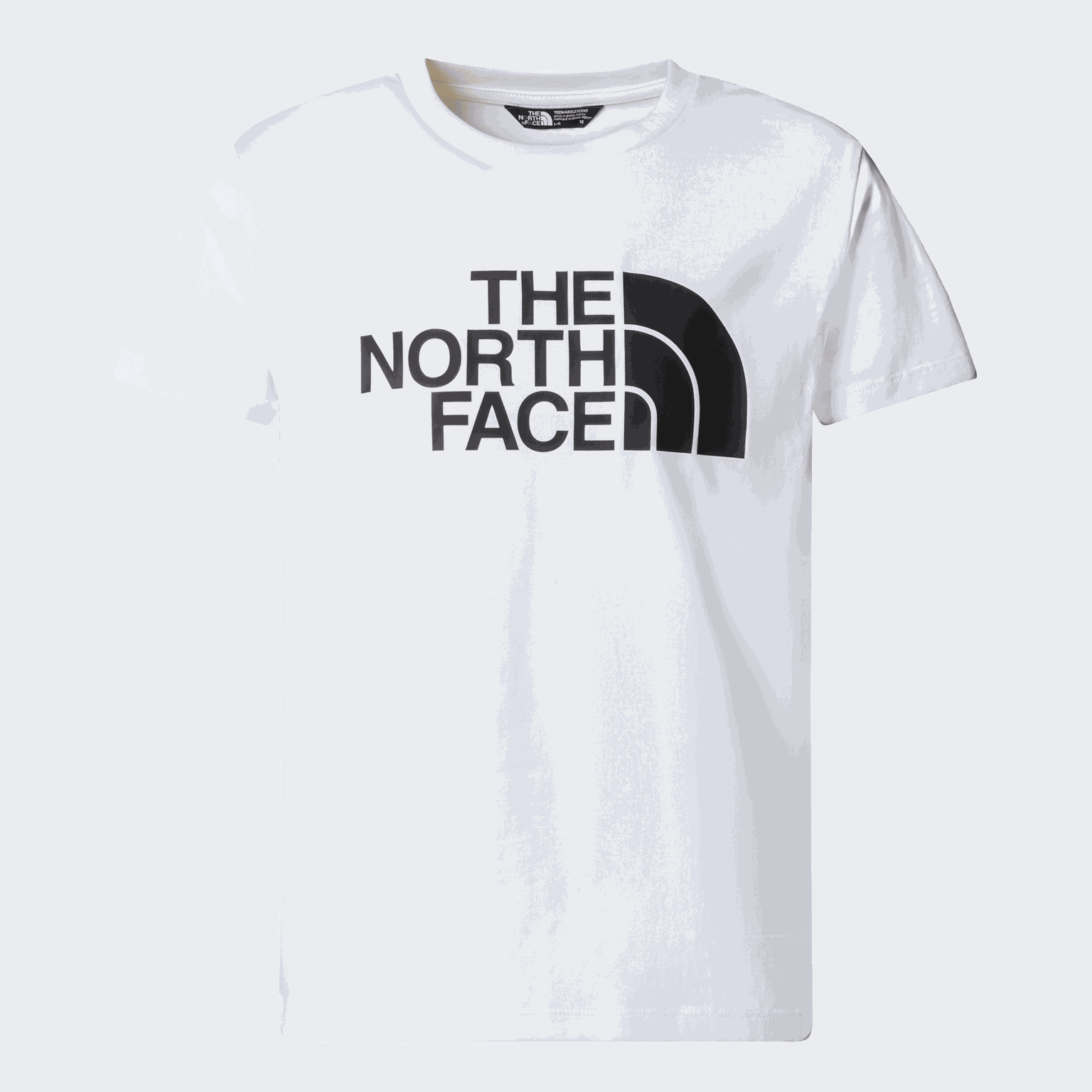 TNF Easy Tee, t-shirt, junior - Fritids-T-Shirts