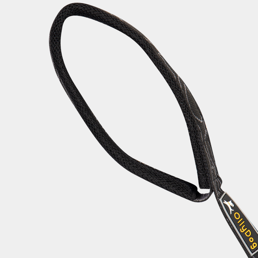Flagstaff Adj Leash Raven Bark, hundkoppel - full image 2