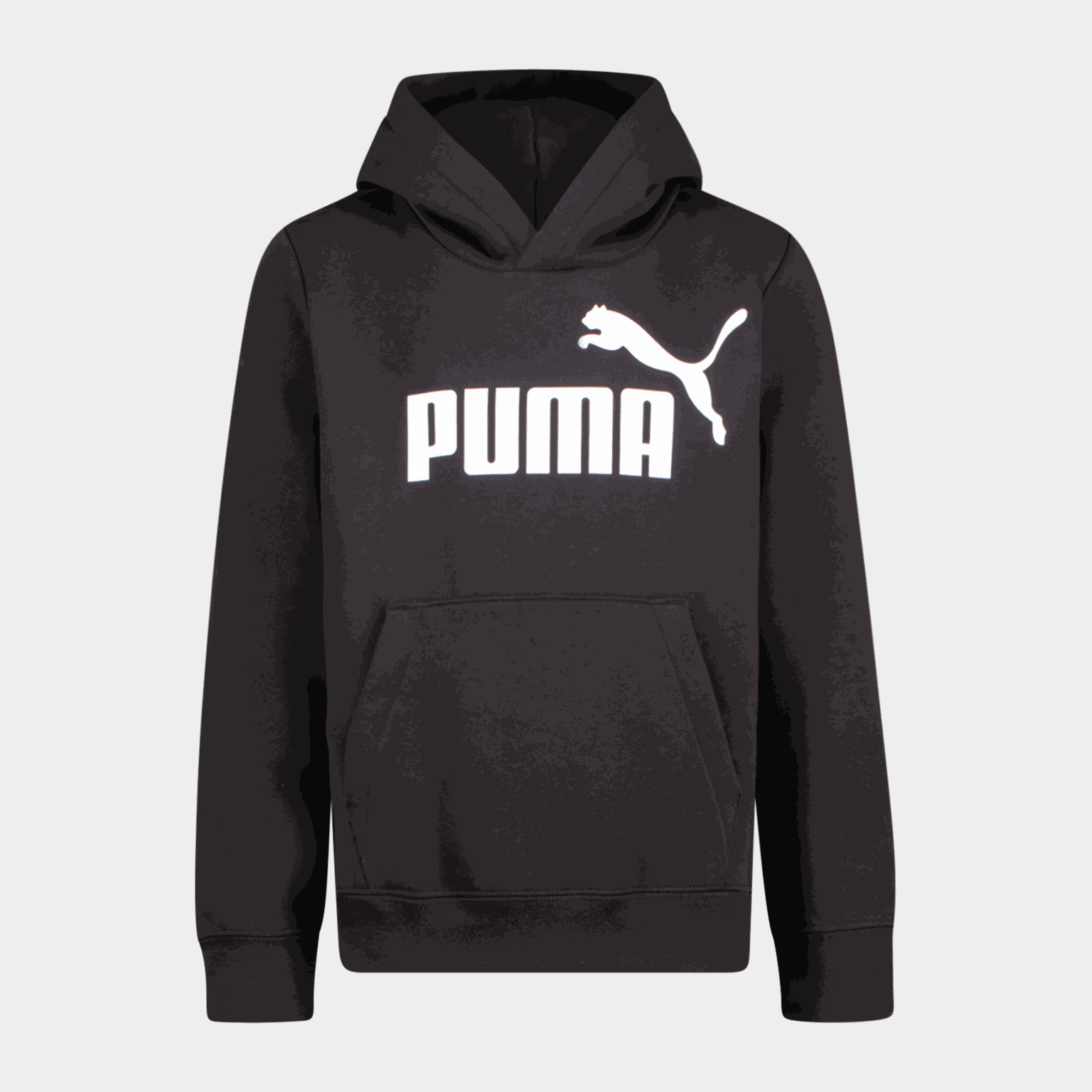 ESS Big Logo Hoodie FL B, huvtröja - full image 1