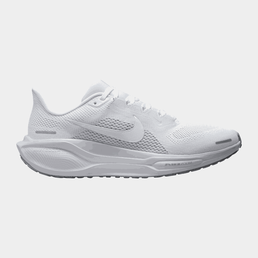 Pegasus 41 - full image 1
