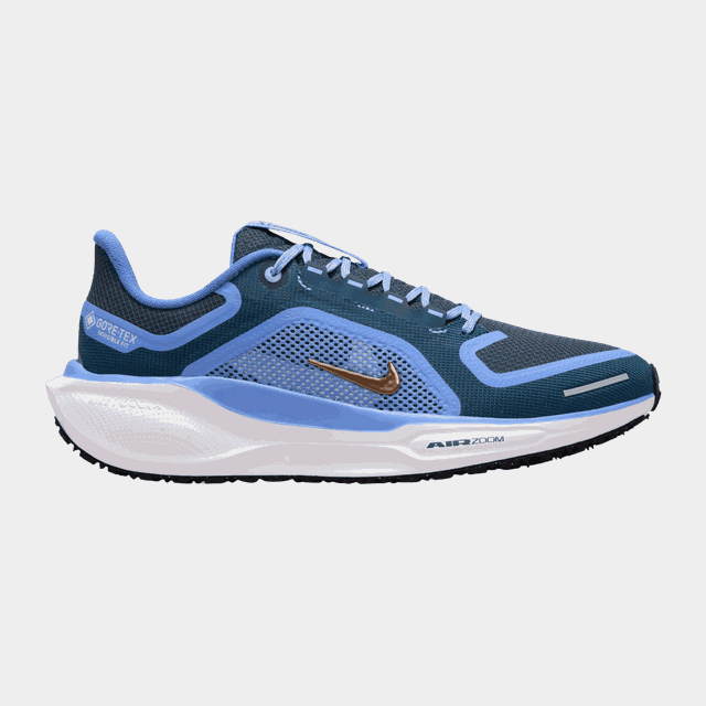 Air Zoom Pegasus 41 Gore-Tex, löparskor, dam - Löparskor Dam