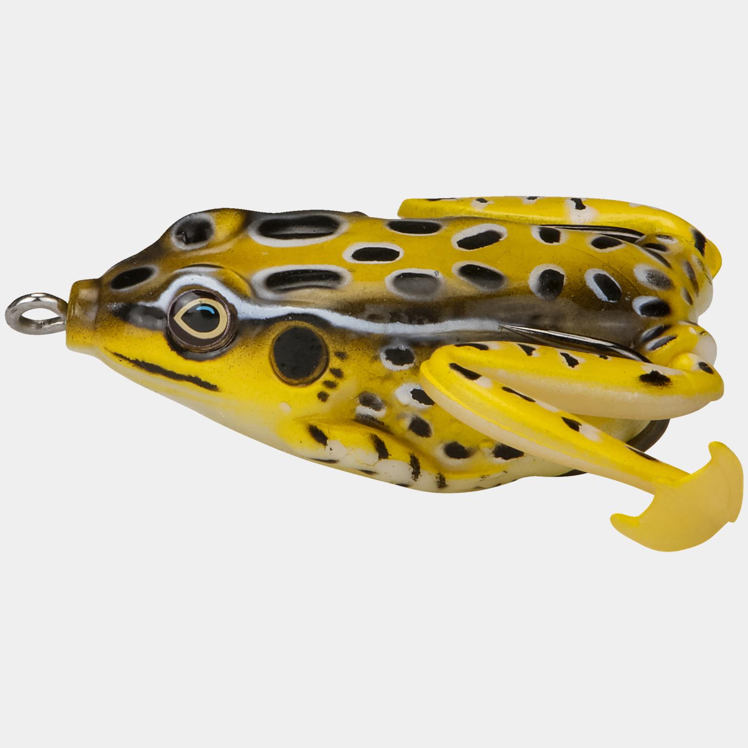Frog 18g - full image 2