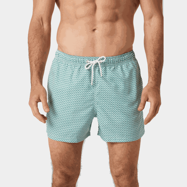 Borg Print Swim Shorts, badshorts - Badshorts