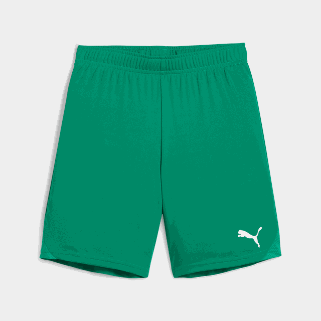teamGOAL Shorts, träningsshorts - Shorts