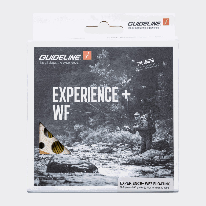 Experience+ WF #7, fluglina - full image 1