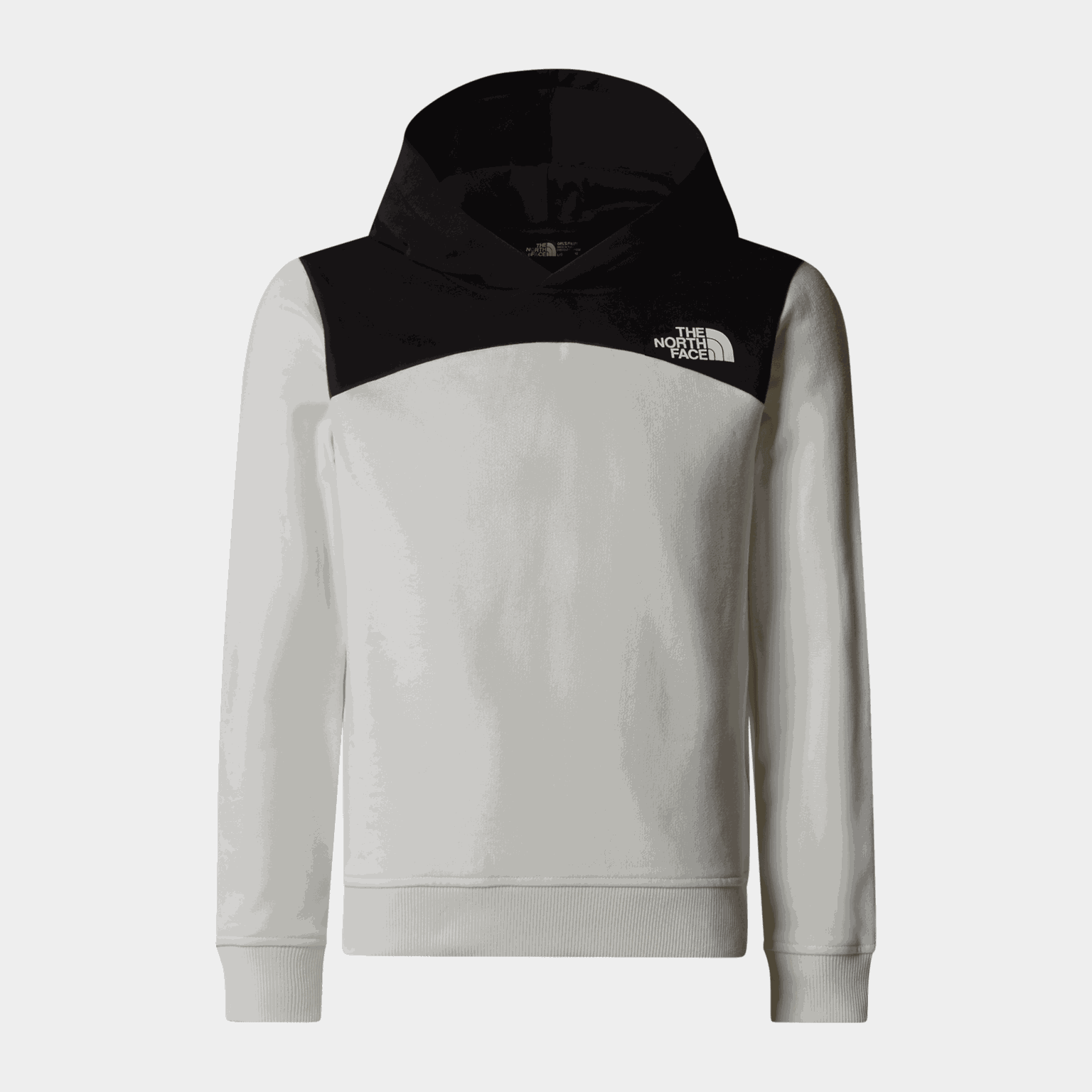 G Back Logo Relaxed P/O Hoodie - full image 1