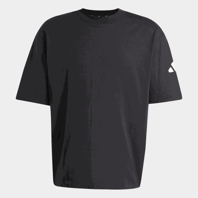 SJ T, t-shirt, herr - Fritids-T-Shirt
