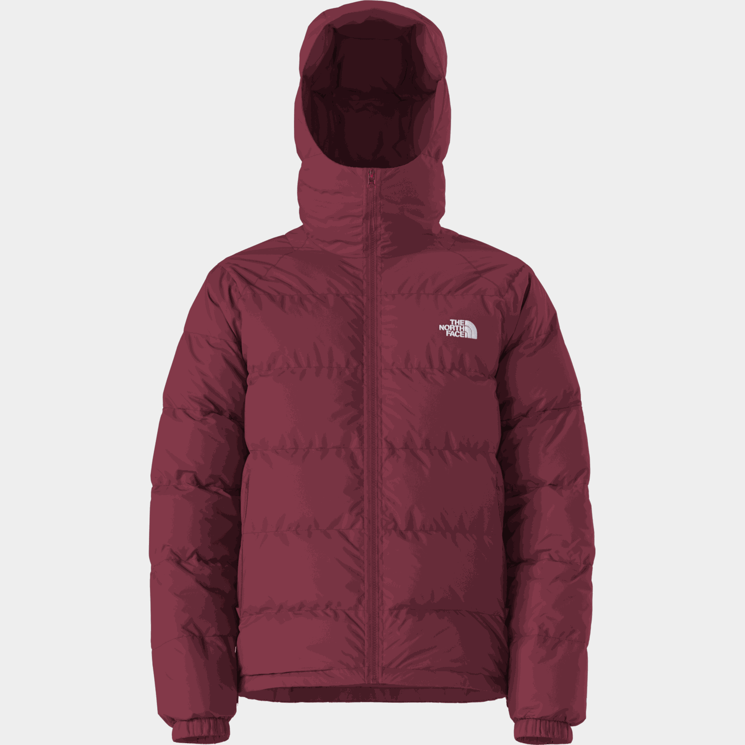 Hydrenalite Down Hoodie - full image 1