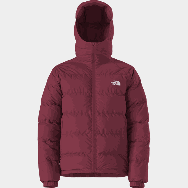 Hydrenalite Down Hoodie - Vinterjackor