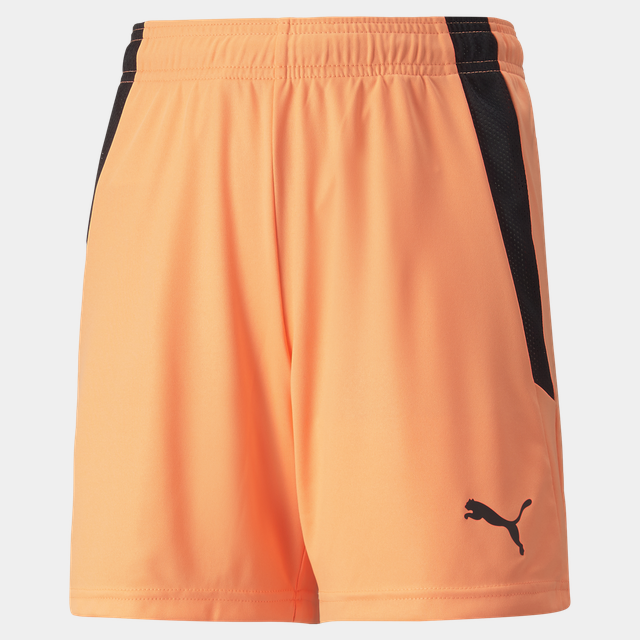 teamLIGA Shorts träningsshorts - Shorts