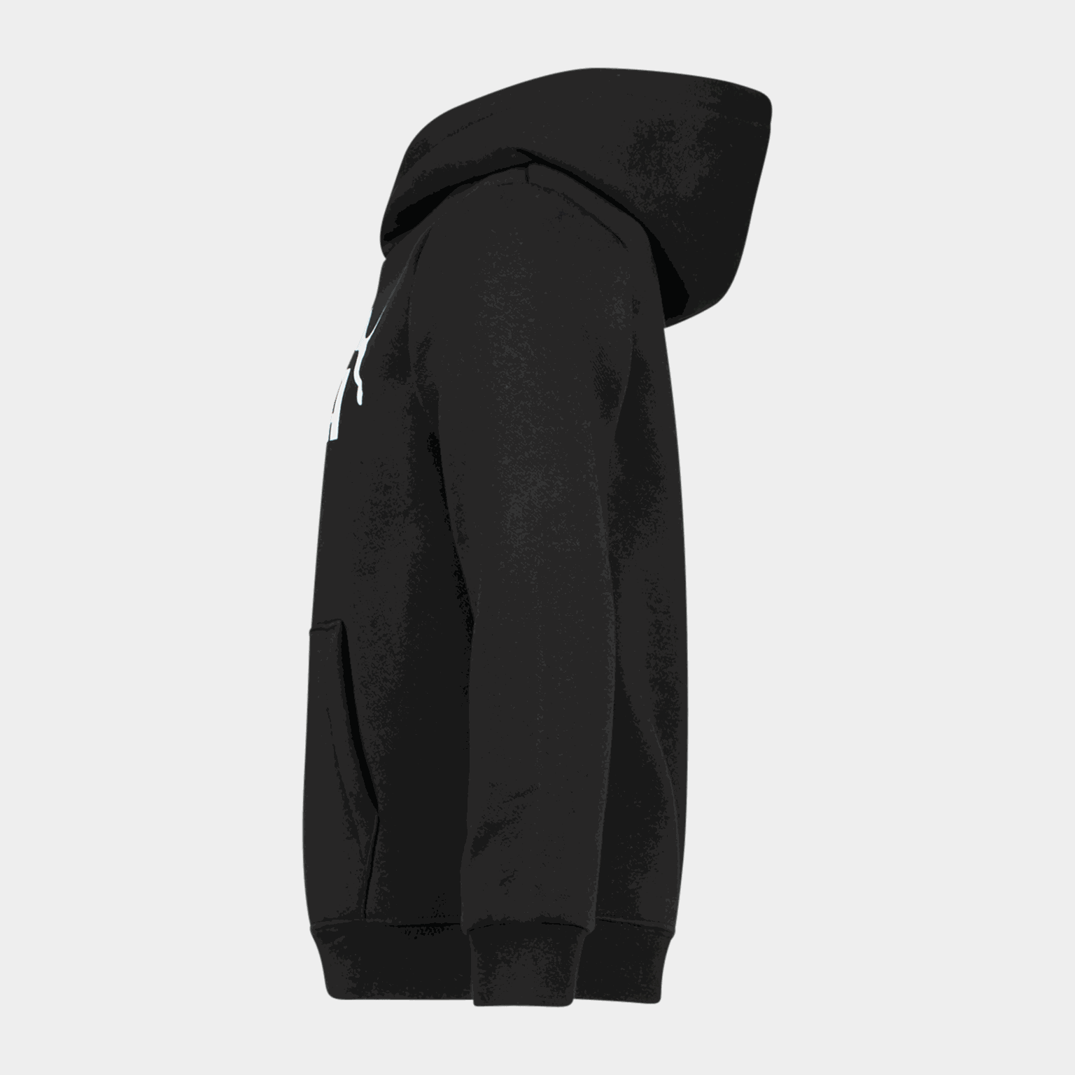 Essential No. 1 Logo Hoodie FL PS, huvtröja - full image 2
