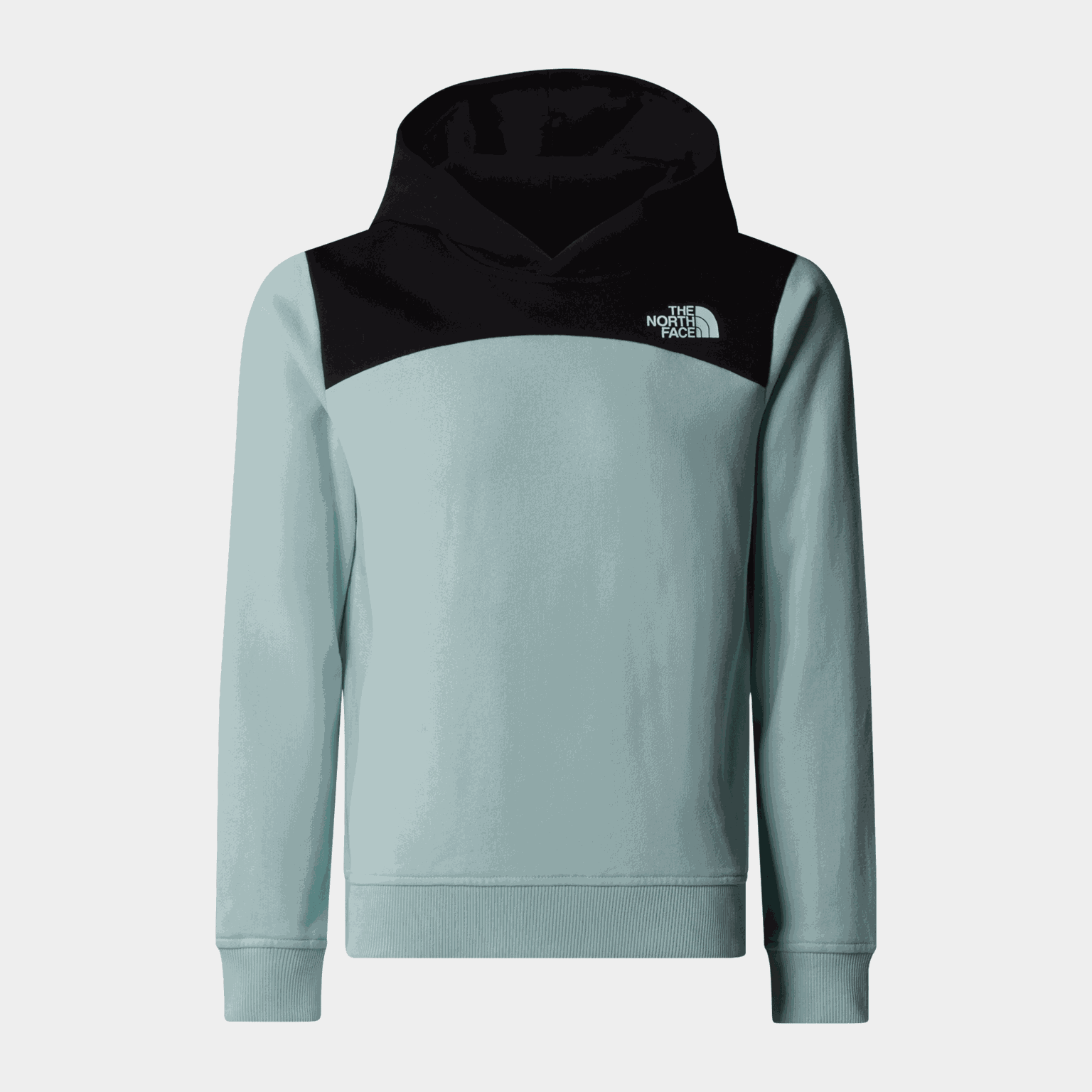 G Back Logo Relaxed P/O Hoodie - full image 1