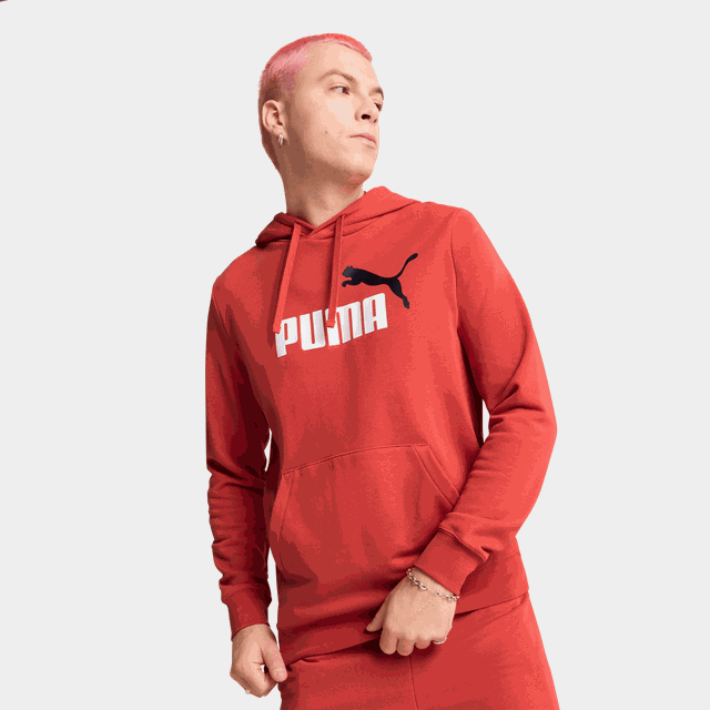 ESS 2 Color No. 1 Logo Hoodie, huvtröja, herr - Hoodtröjor