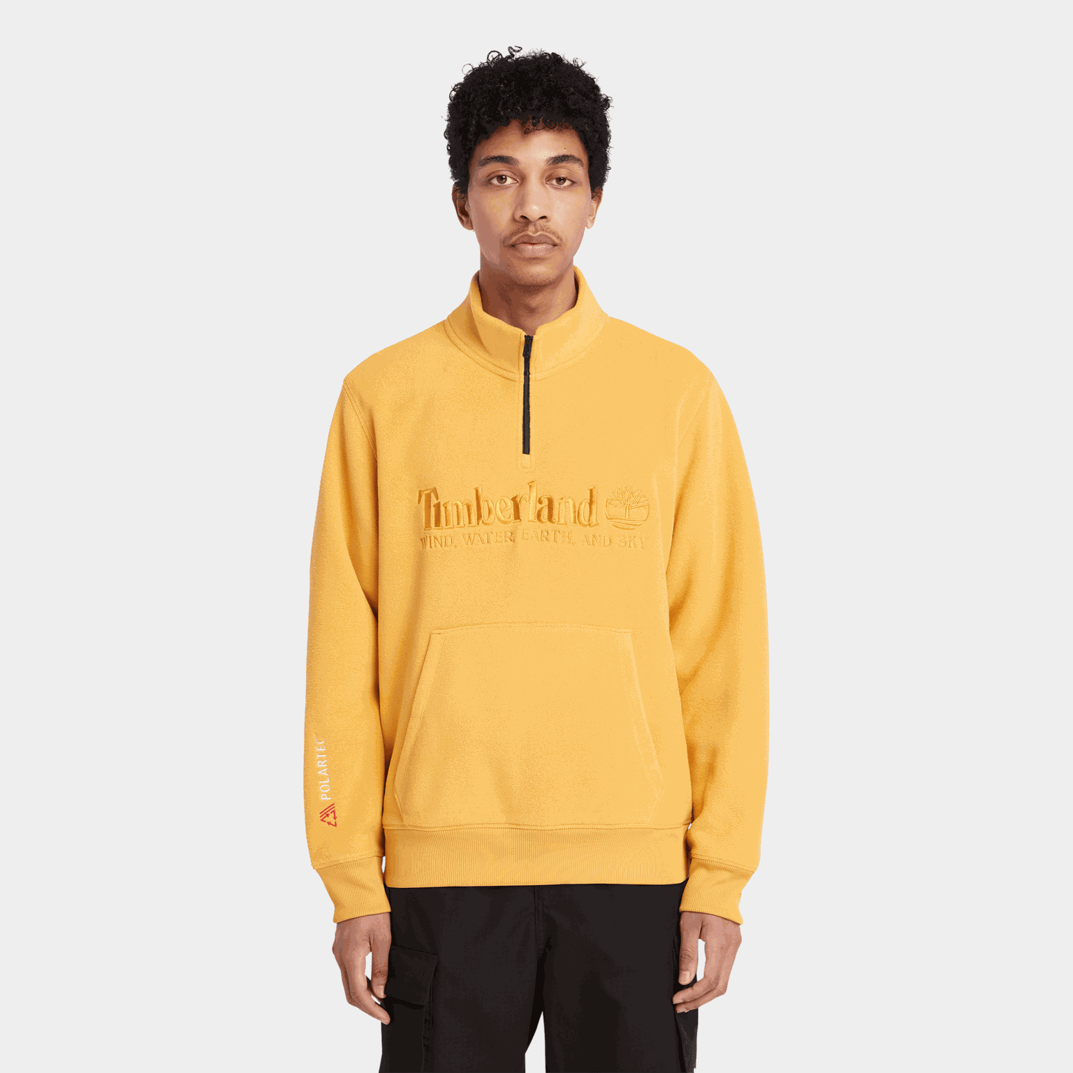 Linear Logo 1/4 Zip Pol, tröja, herr - full image 1