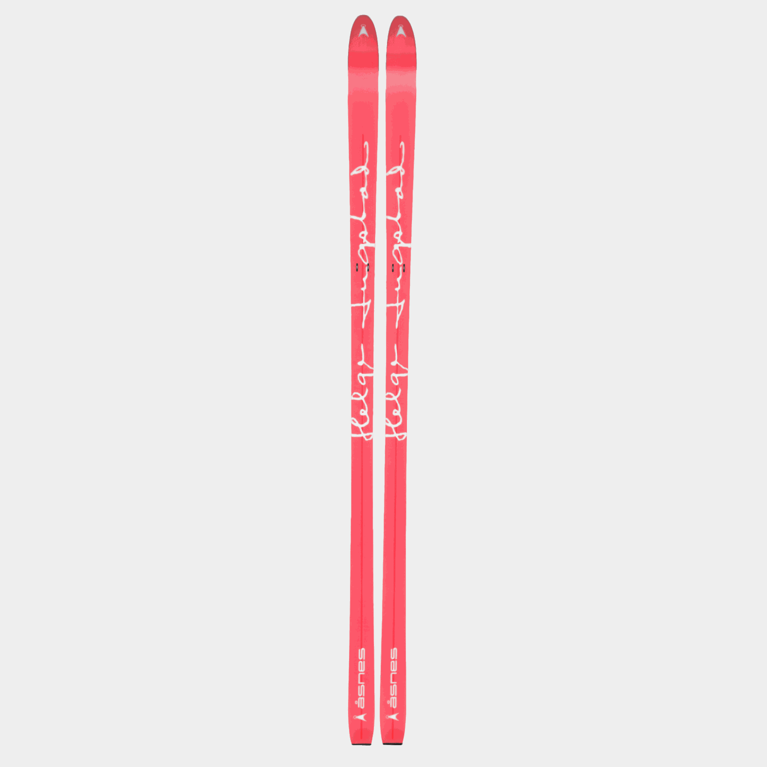 BC Skis Ingstad 25/26, fjällskida, herr - full image 2