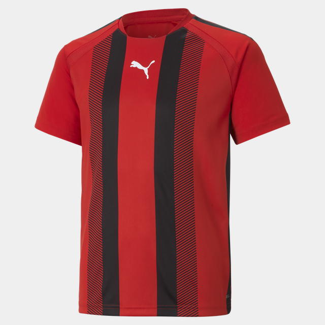 teamLIGA Striped Jersey träningströja - T-Shirts
