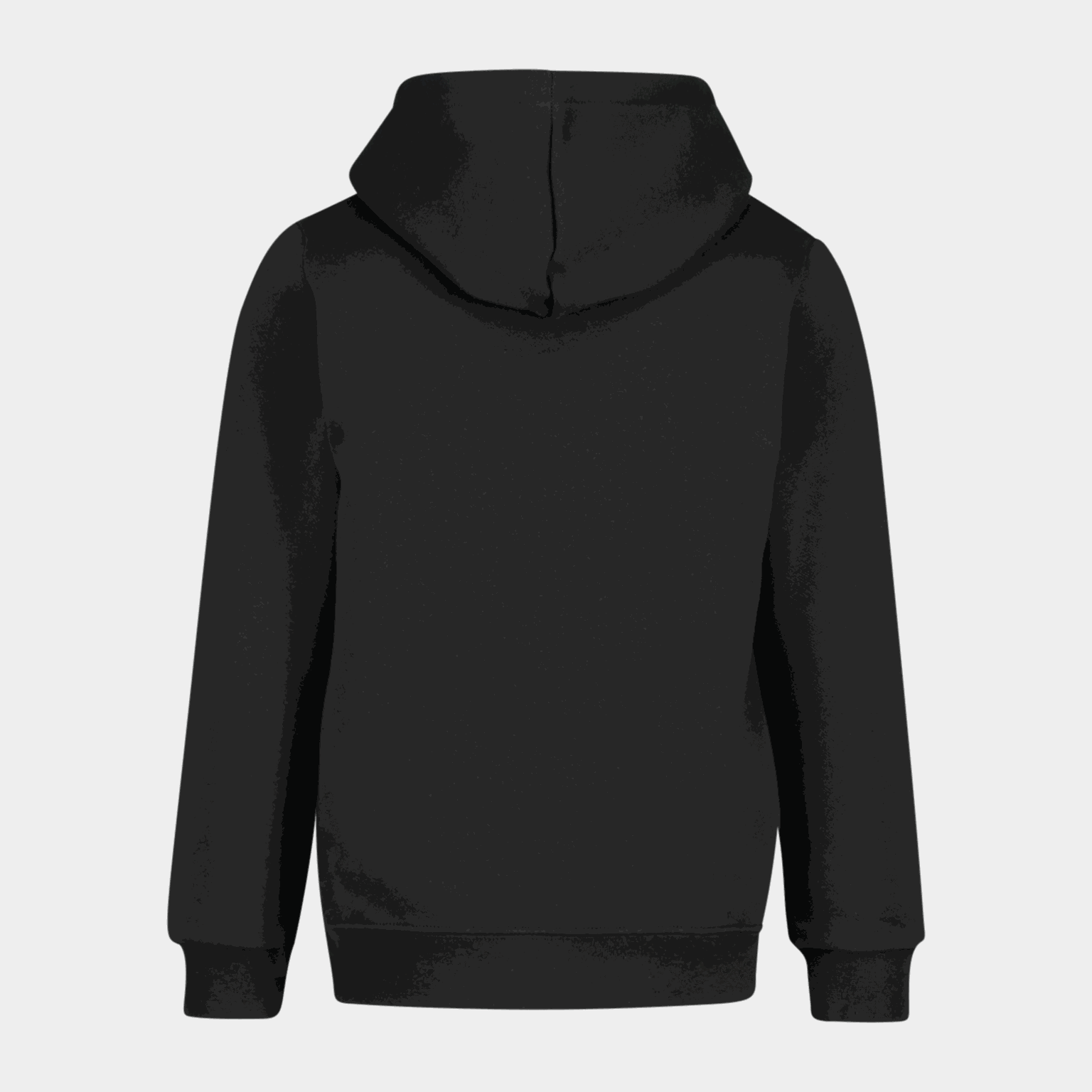 Essential No. 1 Logo Hoodie FL PS, huvtröja - full image 3