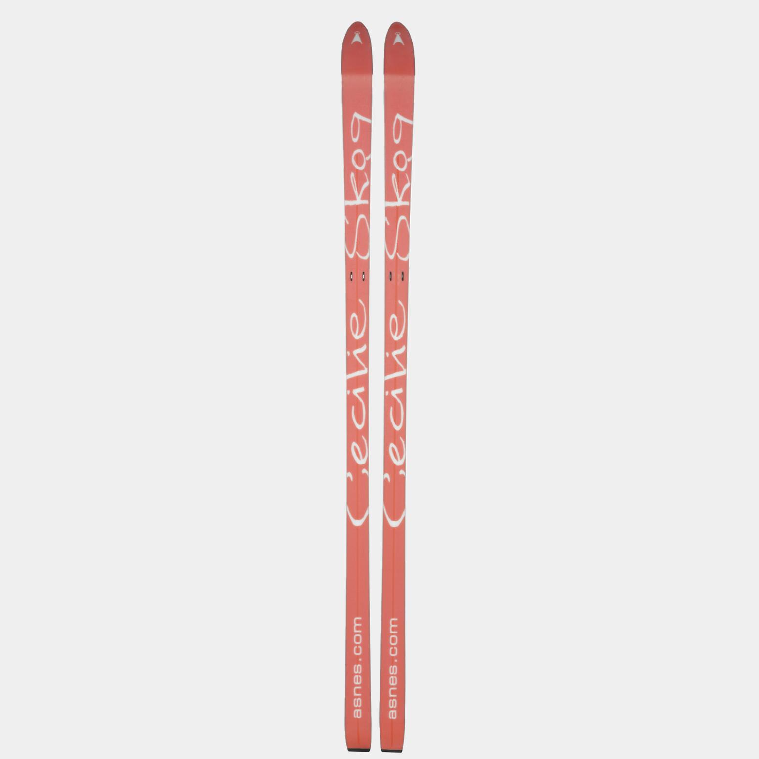 BC Skis Cecilie Skog 25/26, fjällskida dam - full image 3