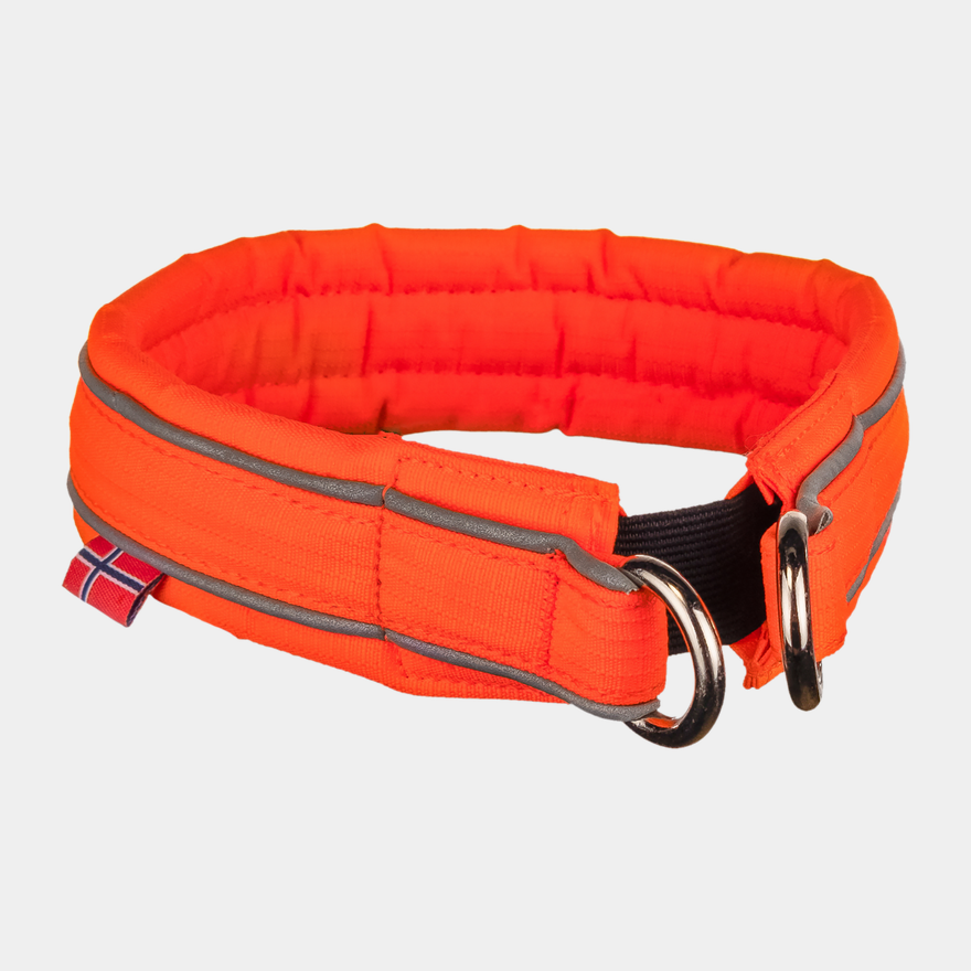 Safe, hundhalsband - full image 1