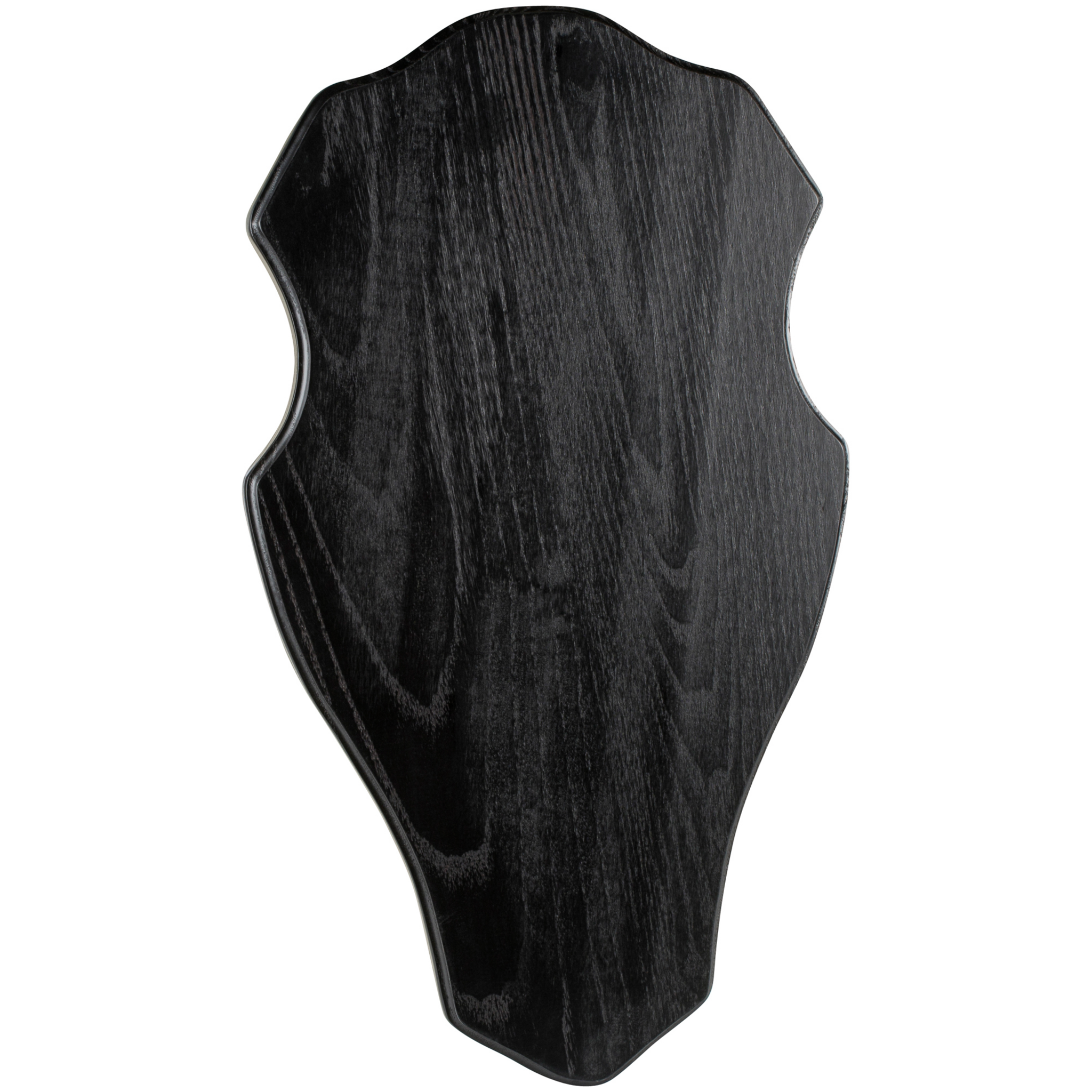 Troféplatta för horn, 48x27 cm - Jaktutrustning