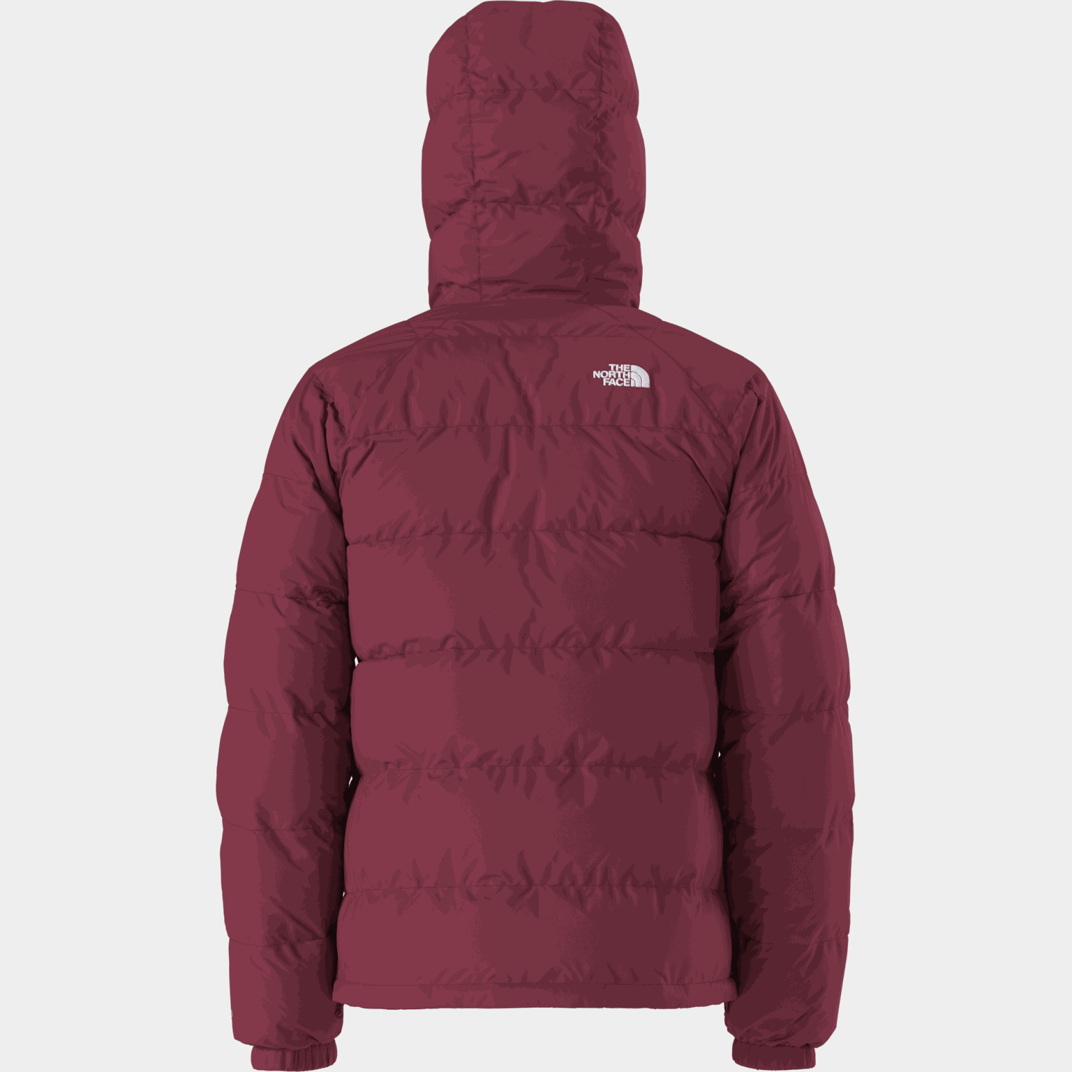 Hydrenalite Down Hoodie - full image 2