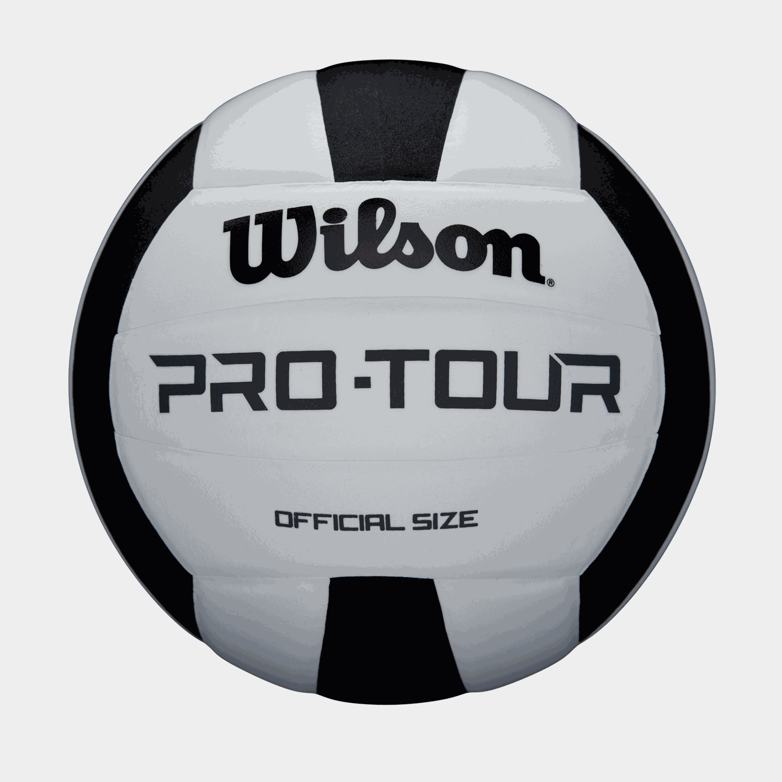 Pro Tour, volleyboll - full image 1