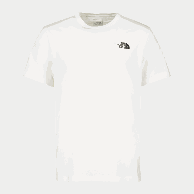 TNF Box NSE Tee, t-shirt - Fritids-T-Shirt