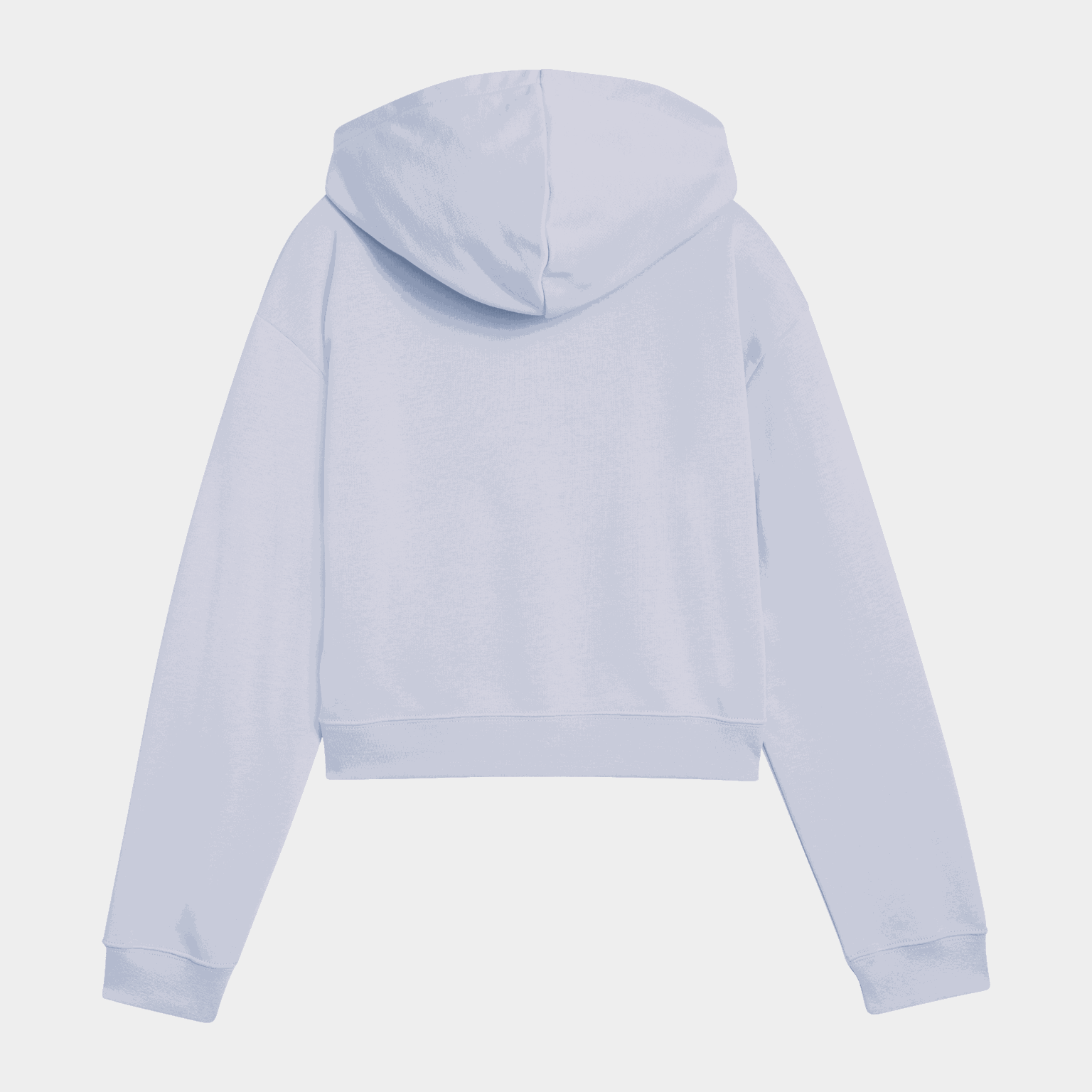 ESS 2 Color No. 1 Logo Short Length Hoodie, huvtröja - full image 2