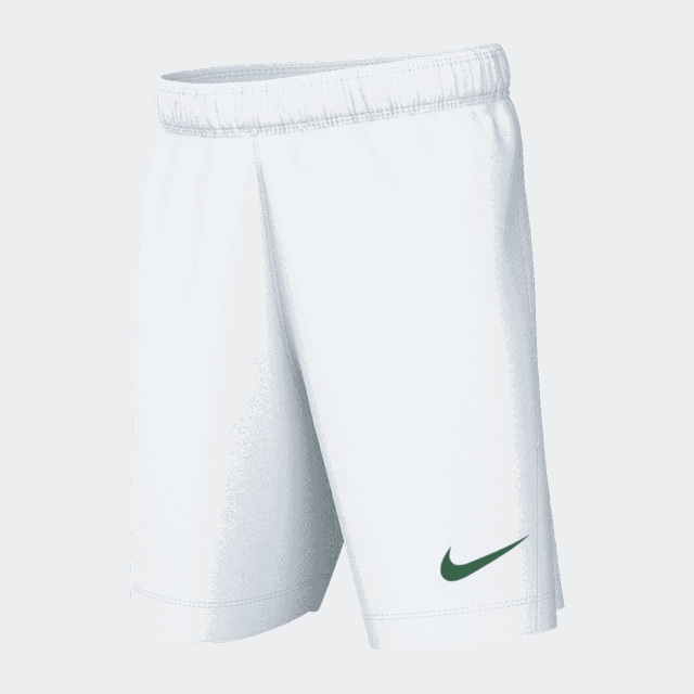 Dri-FIT Park III Short Nb, fotbollsshorts herr - Shorts