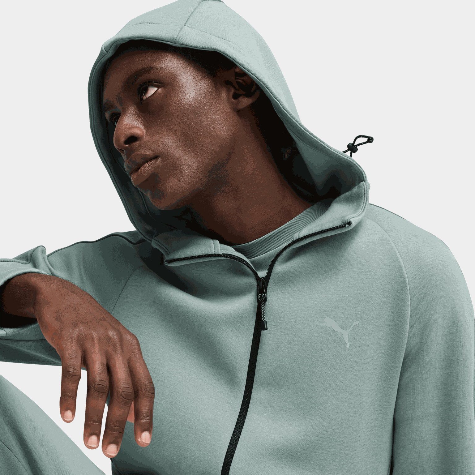 Evostripe Full-Zip Hoodie DK, huvjacka, herr - full image 3